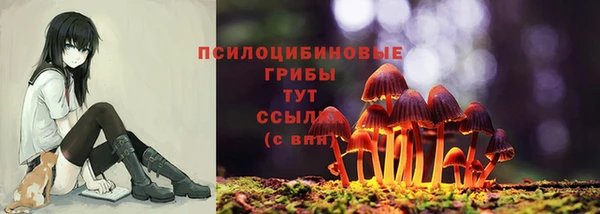 амфетамин Краснослободск
