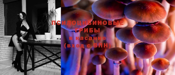 хмурый Краснотурьинск