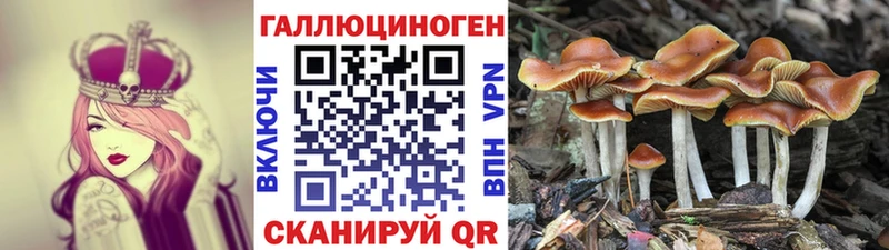 Галлюциногенные грибы GOLDEN TEACHER  Купить где  Галич 